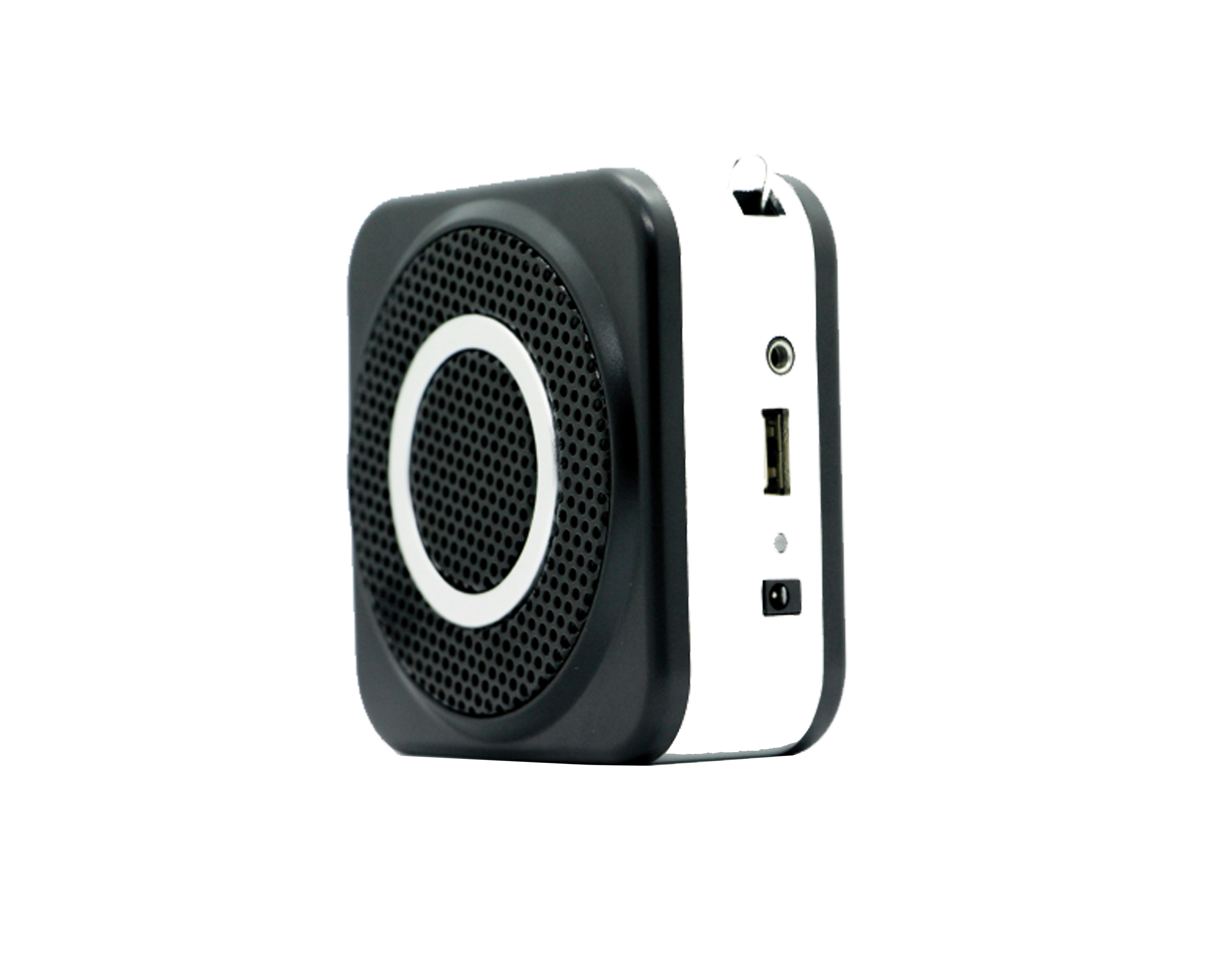 Portable Amplifer E160W_02