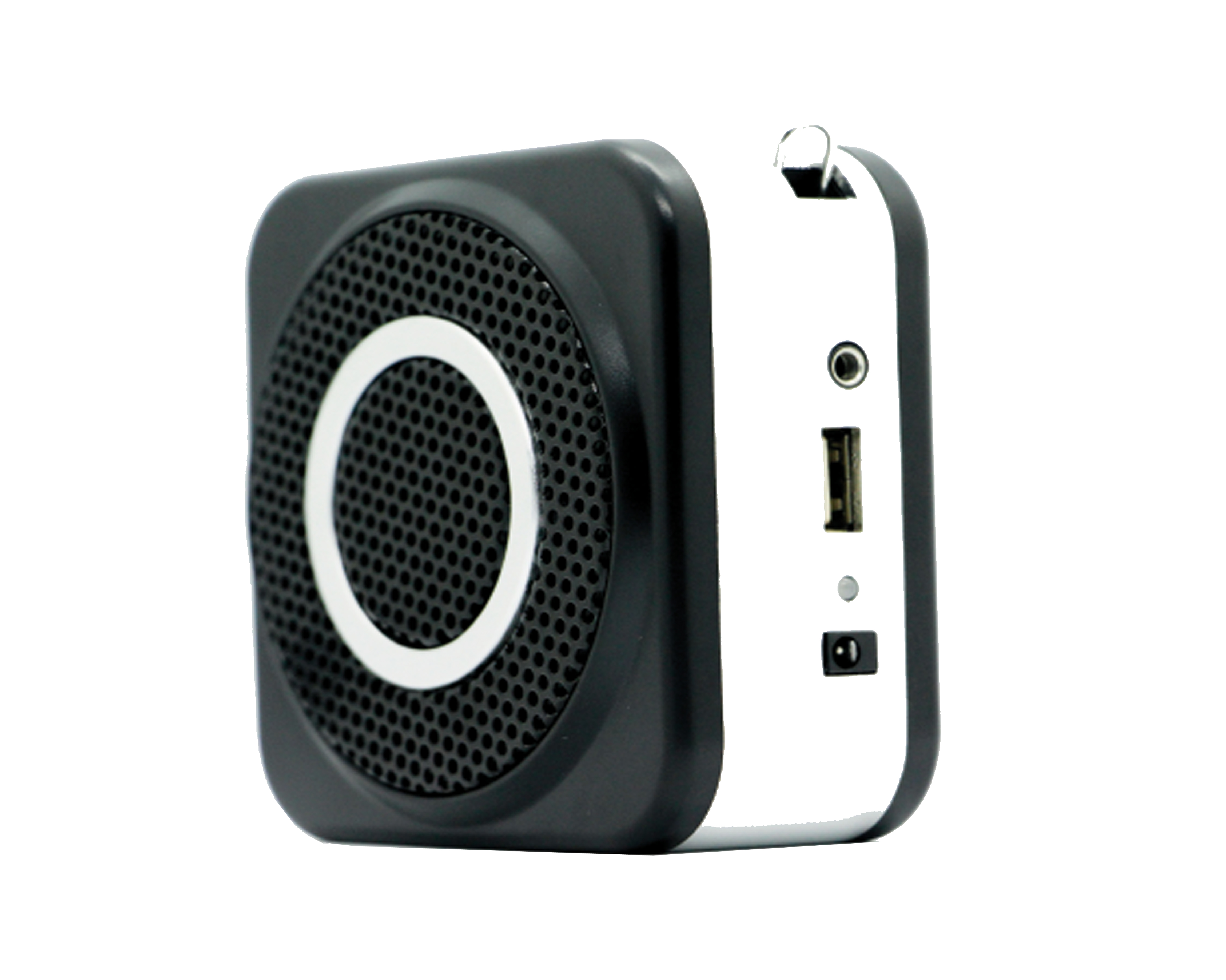 Portable Amplifer E160W_08